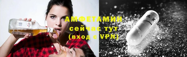 шишки Мегион