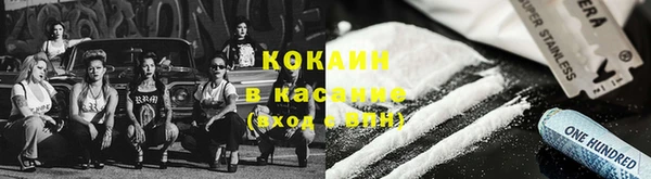 шишки Мегион