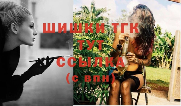 шишки Мегион