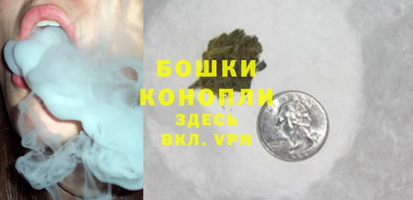 шишки Мегион