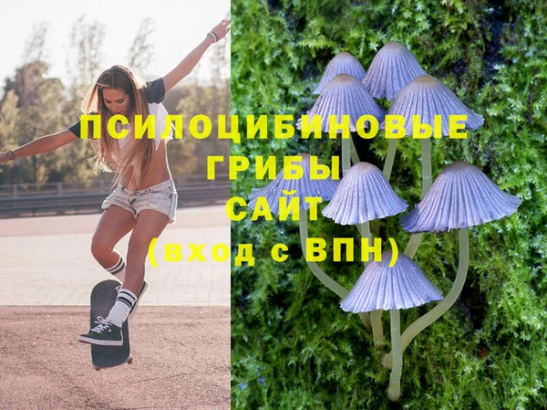 скорость mdpv Медногорск