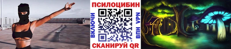 Галлюциногенные грибы Magic Shrooms  Новокузнецк 
