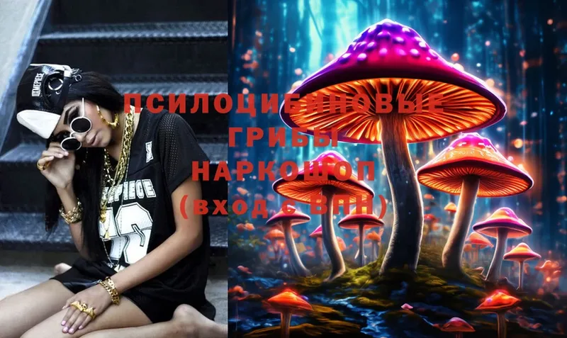 Псилоцибиновые грибы Psilocybe  где купить   Новокузнецк 