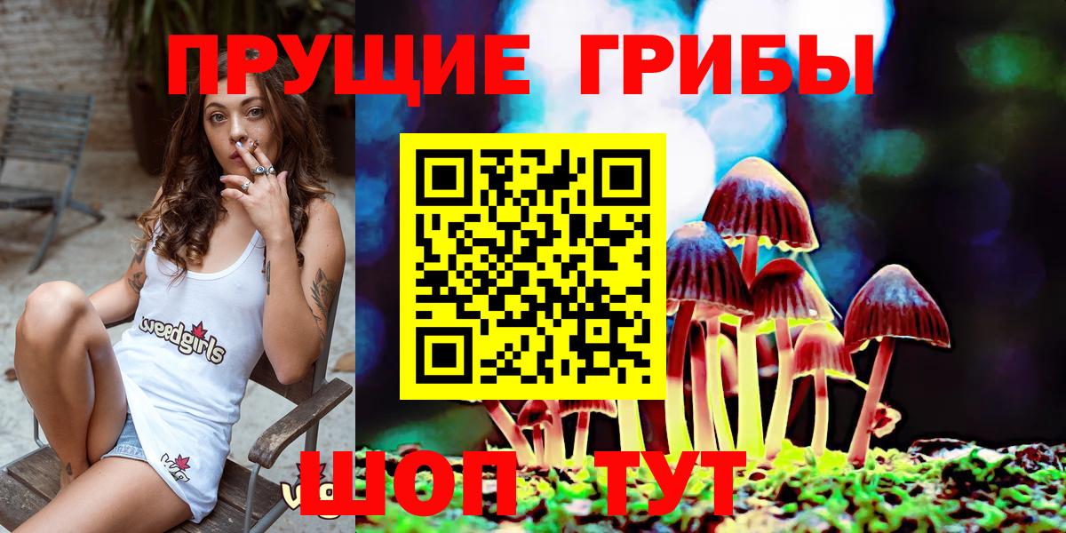 Псилоцибиновые грибы мицелий  Вход с VPN  как найти   Псилоцибиновые грибы Cubensis  Новокузнецк 