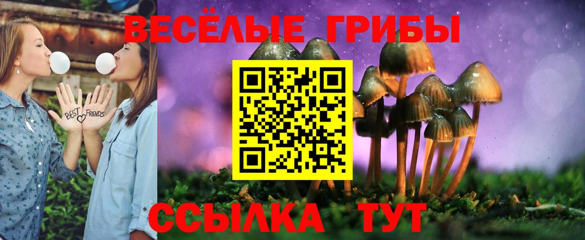 Галлюциногенные грибы прущие грибы Новокузнецк