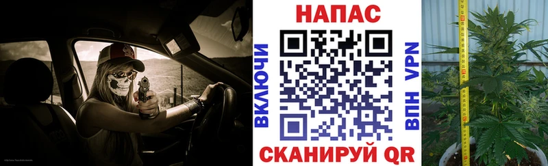МАРИХУАНА сатива Новокузнецк